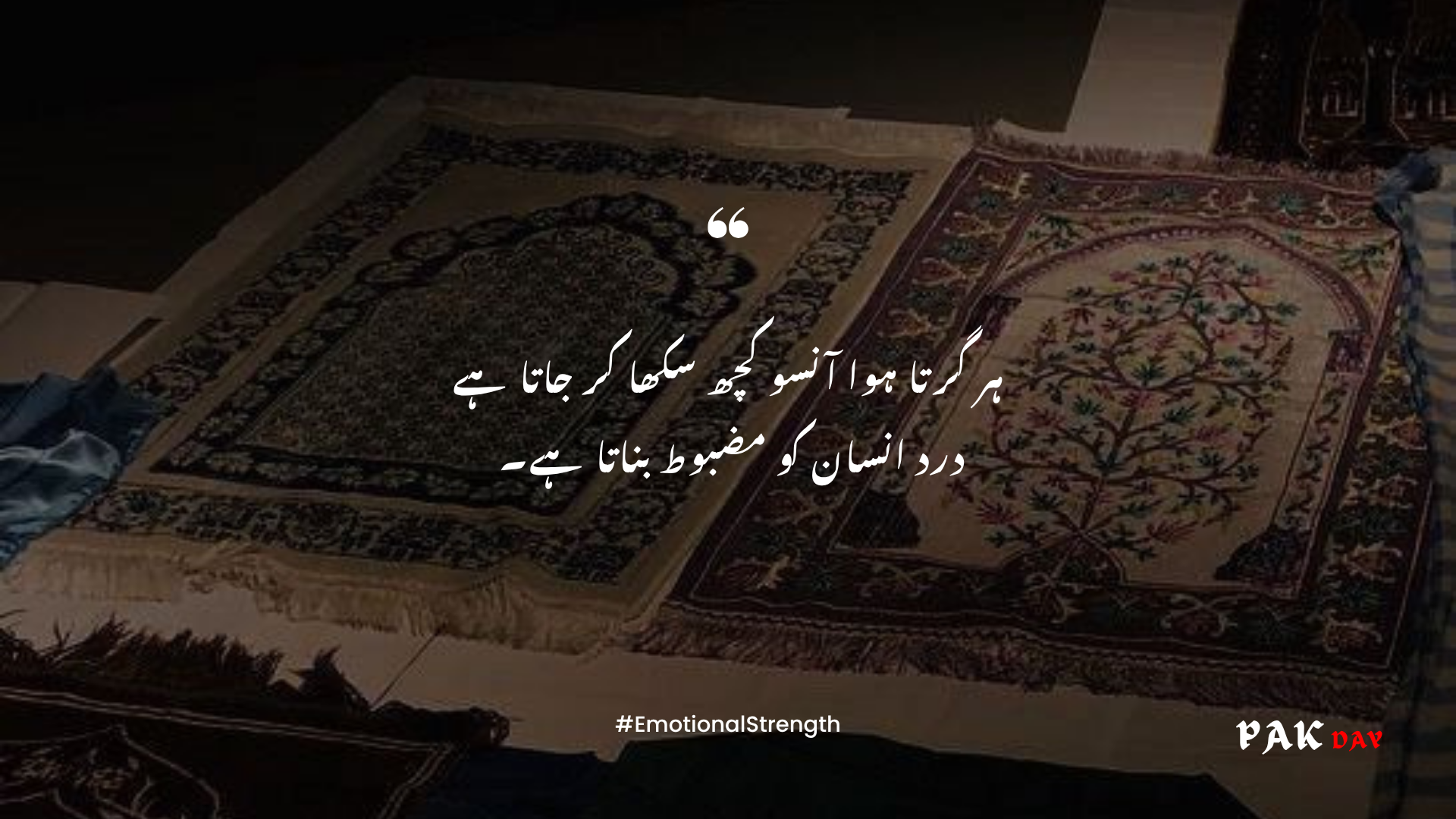 life urdu quotes picture