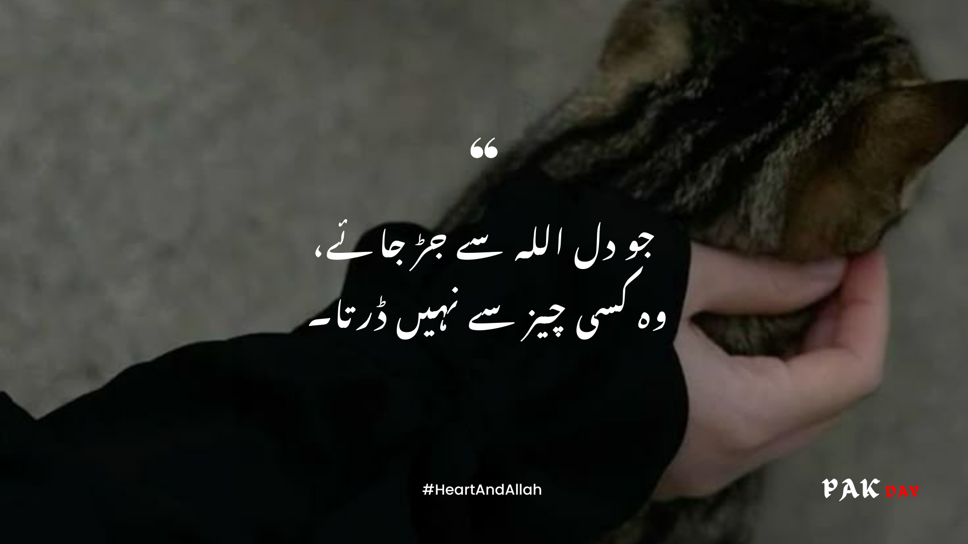 islamic urdu quotes picture